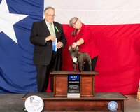 French Bulldog #15 Thur BOW Judge John Wade