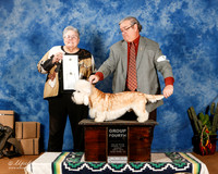 Dandie Dinmont Terrier #5 Sun G4 +A1