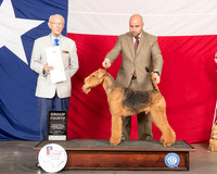 Airedale #5 Thur G4 Judge Dr Anthony DiNardo