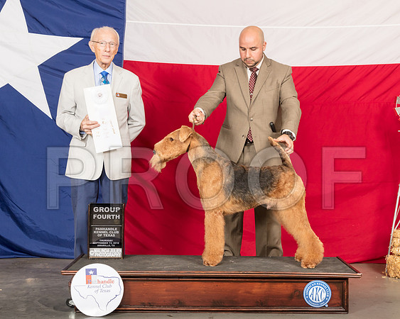 Airedale #5 Thur G4 Judge Dr Anthony DiNardo-SSR_0044-HR3