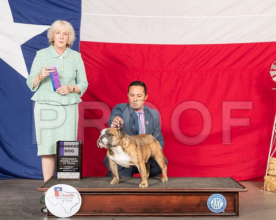 Bulldog #23 Thur WD Judge Sulie Greendale Paveza-SSR_0101-HR3