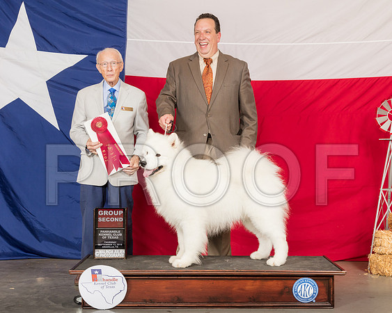 Samoyed #5 Thur G2 Judge Dr Anthony DiNardo-SSR_0048-HR3