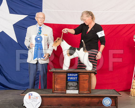 Wire Fox Terrier #5 Thur G1 Judge Dr Anthony DiNardo-SSR_0035-HR3