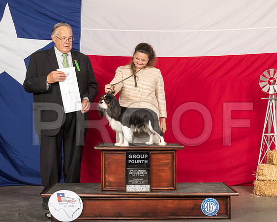 Cavalier King Charles Spaniel #7 Thur G4 Judge John Wade-SSR_0164-HR3
