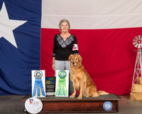 Golden Retriever #10 Thur HIT HC Lora Seale