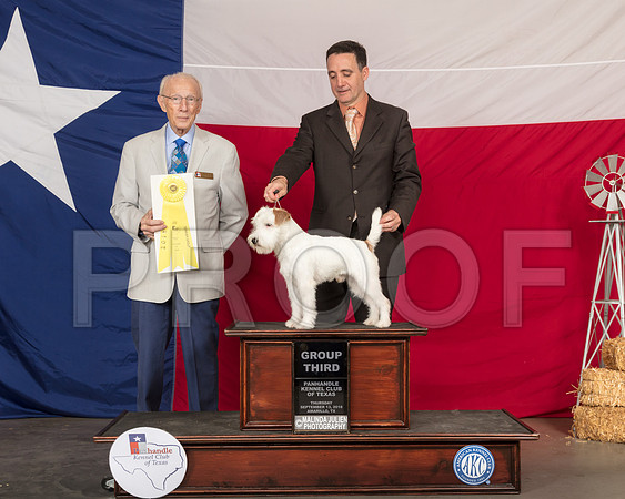 Parson Russell Terrier #5 Thur G3 Dr Anthony DiNardo-SSR_0149-HR3