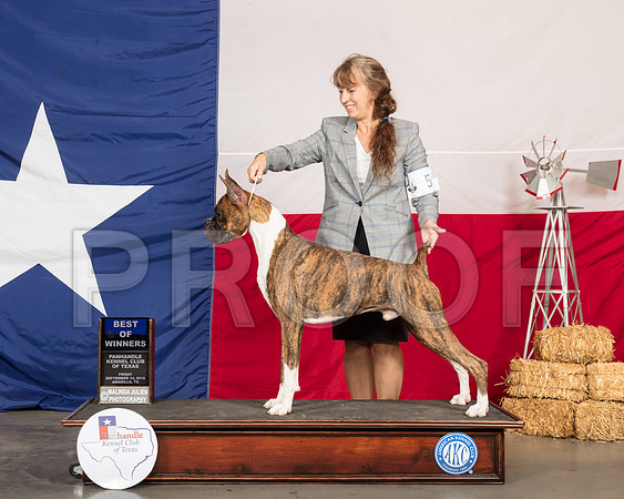 Boxer #5 Fri BOW Judge Dr Anthony D DiNardo-SSR_0307-HR3