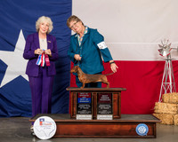 Dachshund Smooth #10 BOW BOS OH Judge Sulie Greendale Paveza