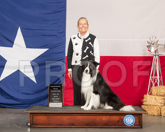 Border Collie Kay Scott-SSR_0416-HR3