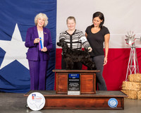 Cocker Spaniel #11 Fri BOW Judge Sulie Greendale Paveza