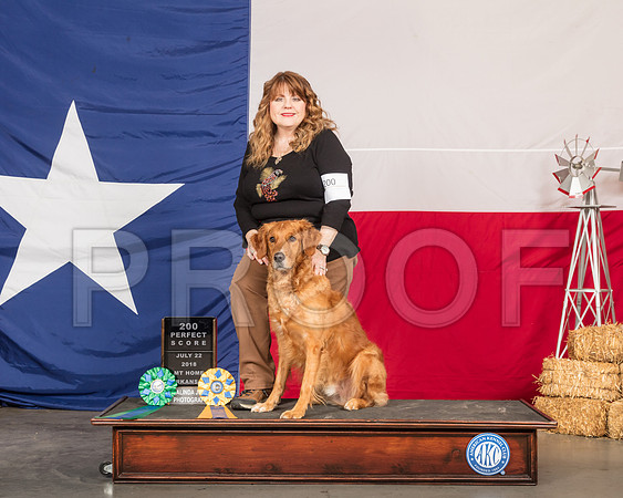 Golden Retriever Sheryl Archer -SSR_0409-HR3
