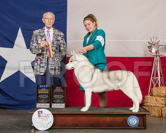 Siberan Husky #17 Fri BOB OH Judge Dr Anthony DiNardo-SSR_0360-HR3