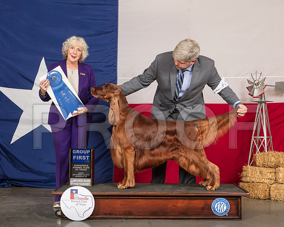 Irish Setter #5 Fri G1 Judge Sulie Greendale Paveza-SSR_0502-HR3