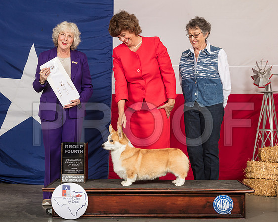 Pembroke Welsh Corgi #5 Fri G4 Judge Sulie Greendale Paveza-SSR_0515-HR3
