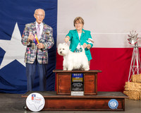 West Highland White Terrier #12 Fri BOB Maj Judge Dr Anthony D DiNardo