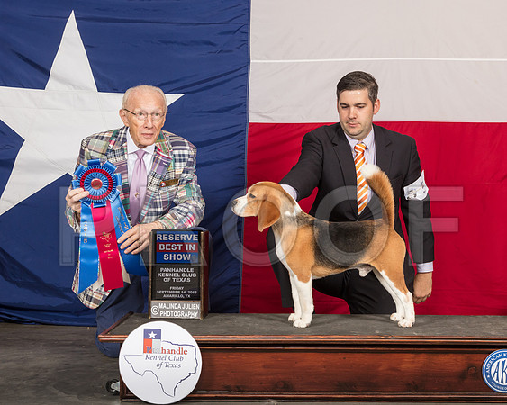 Beagle 15 #5 Fri RBIS Judge Dr Anthony D DiNardo -SSR_0622-HR3