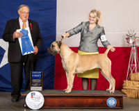 Boerbel #6 Fri G1 Judge John Wade