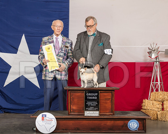 Chihuahua Smooth Fri G3 Judge Dr. Anthony DiNardo-SSR_0644-HR3