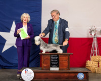 Dandie Dinmont Terrier #6 OHG2 Judge Sulie Greendale Paveza