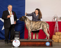Mastiff #16 Fri G4 Judge John Wade