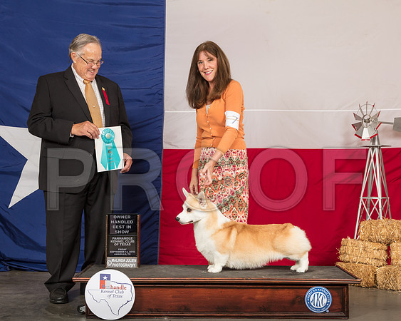 Pembroke Welsh Corgi #7 Fri OHBIS-SSR_0640-HR3