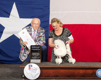 Poodle Miniature #22 Fri G4 Judge Dr Anthony D DiNardo