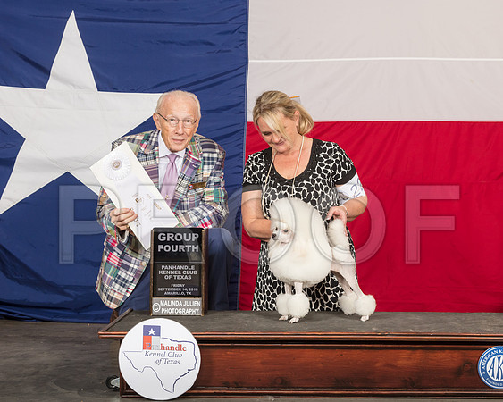 Poodle Miniature #22 Fri G4 Judge Dr Anthony D DiNardo -SSR_0627-HR3
