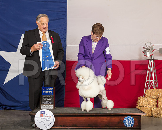 Poodle Miniature #6 Fri G1 Judge John Wade-SSR_0602-HR3