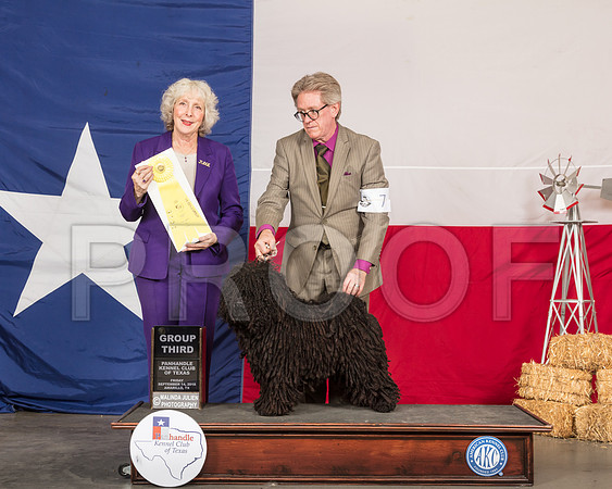 Puli #7 Fri G3 Judge Sulie Greendale Paveza -SSR_0614-HR3