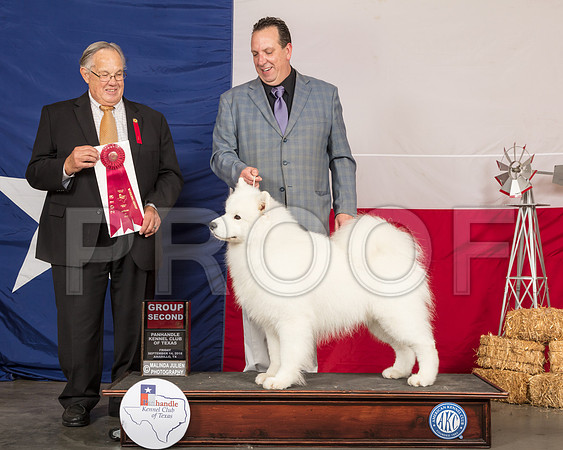 Samoyed #5 Fri G2 Judge John Wade-SSR_0589-HR3