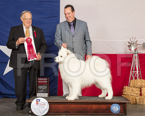Samoyed #5 Fri G2 Judge John Wade-SSR_0590-HR3