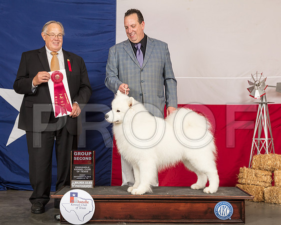 Samoyed #5 Fri G2 Judge John Wade-SSR_0591-HR3