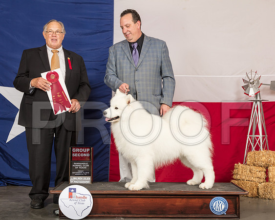Samoyed #5 Fri G2 Judge John Wade-SSR_0592-HR3
