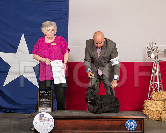 Scottish Terrier #5 Fri G4 Judge Claudia J Seaberg -SSR_0572-HR3