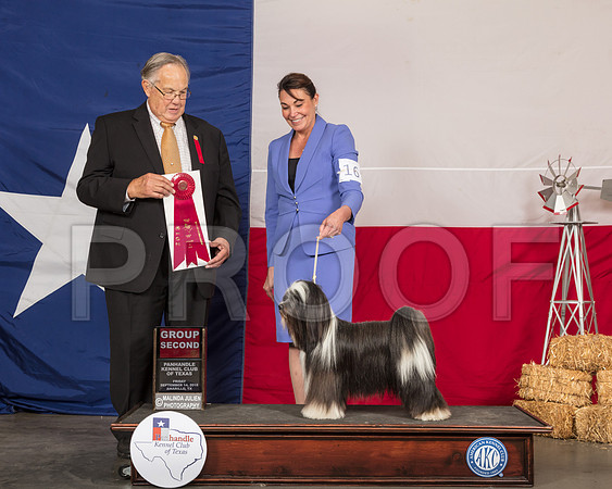 Tibetan Terrier #16 Fri G2 Judge John Wade-SSR_0609-HR3