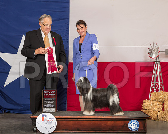 Tibetan Terrier #16 Fri G2 Judge John Wade-SSR_0610-HR3