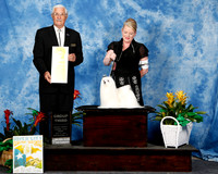 Maltese #5 Fri G3 Tara Martin Rowell & Vicki Abbott Agent Tara Martin Rowell Judge Charles Trotter