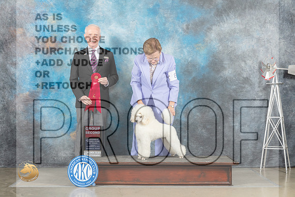 Poodle Miniature #8 Sun G2 Judge Fred Bassett_MJ_5177_Amarillo_2022_HR3