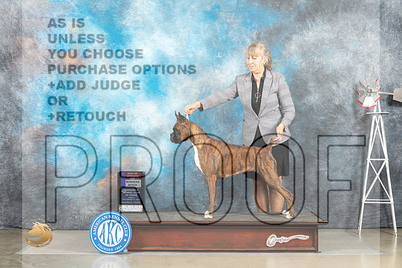Boxer #6 Fri WBBOS Judge Sharon Derrick rr_MJ_4913_Amarillo_2022_HR3