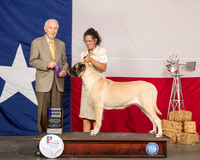 Mastiff #12 Sat WB Judge Roger Hartinger