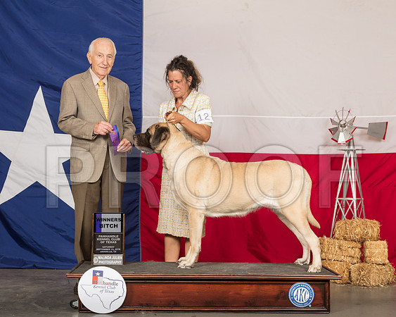 Mastiff #12 Sat WB Judge Roger Hartinger-SSR_0754-HR3