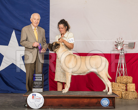 Mastiff #12 Sat WB Judge Roger Hartinger-SSR_0755-HR3