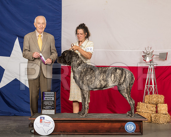 Mastiff #14 Sat RWB Judge Roger Hartinger-SSR_0759-HR3