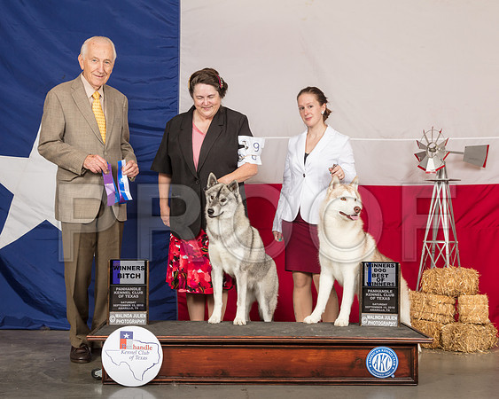Siberian Husky #8 & #9 WB WD BOW Judge Roger Hartinger-SSR_0740-HR3