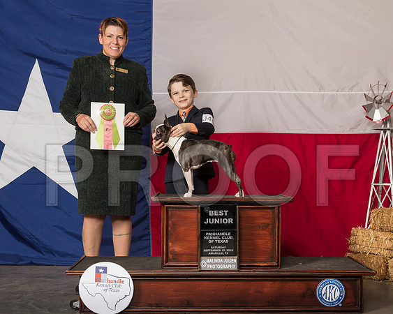 Boston Terrier #J402 Sat Best Jr Judge Jennifer Brooke Burlingame-SSR_0863-HR3