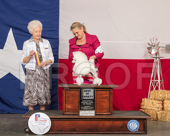 Poodle Toy #22 Sat BOV Judge Paula Hartinger-SSR_0828-HR3