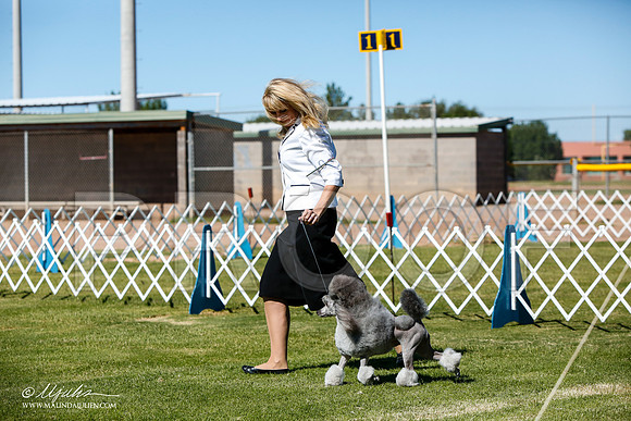 _JJ_4737-AlamogordoOct2014-HR3