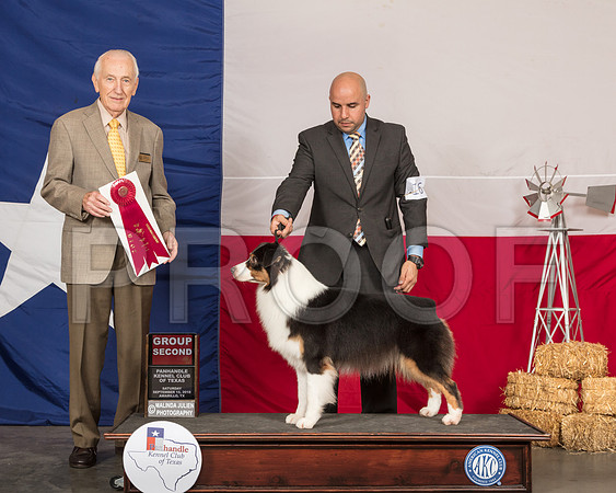 Australian Shepherd #16 Sat G2 Judge Roger Hartinger-SSR_0958-HR3