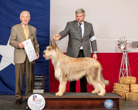 Berger Picard #5 Sat G4 Judge Roger Hartinger