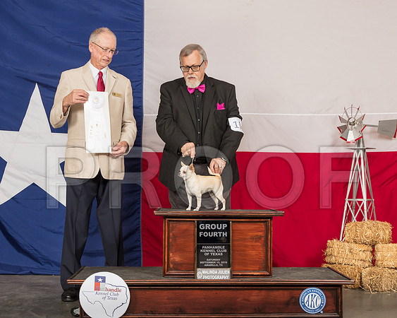Chihuahua Smooth #10 G4 Judge Allen Odom-SSR_1017-HR3